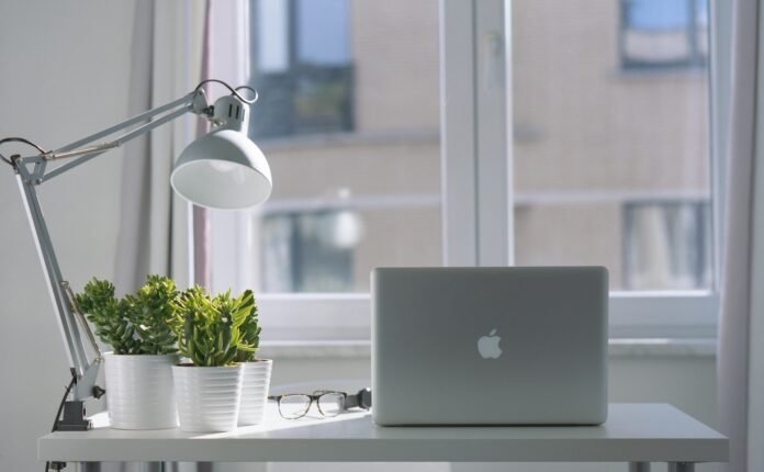 Eco-Friendly Home Office Setup: What You Need