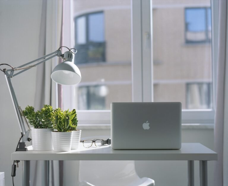 Eco-Friendly Home Office Setup: What You Need